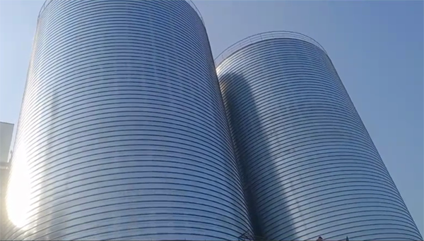 龙陵2座混凝土高架卷板仓